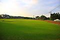 img_7339.jpg