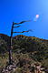 crw_0784.jpg