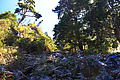 crw_0790.jpg