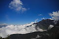 crw_0800.jpg